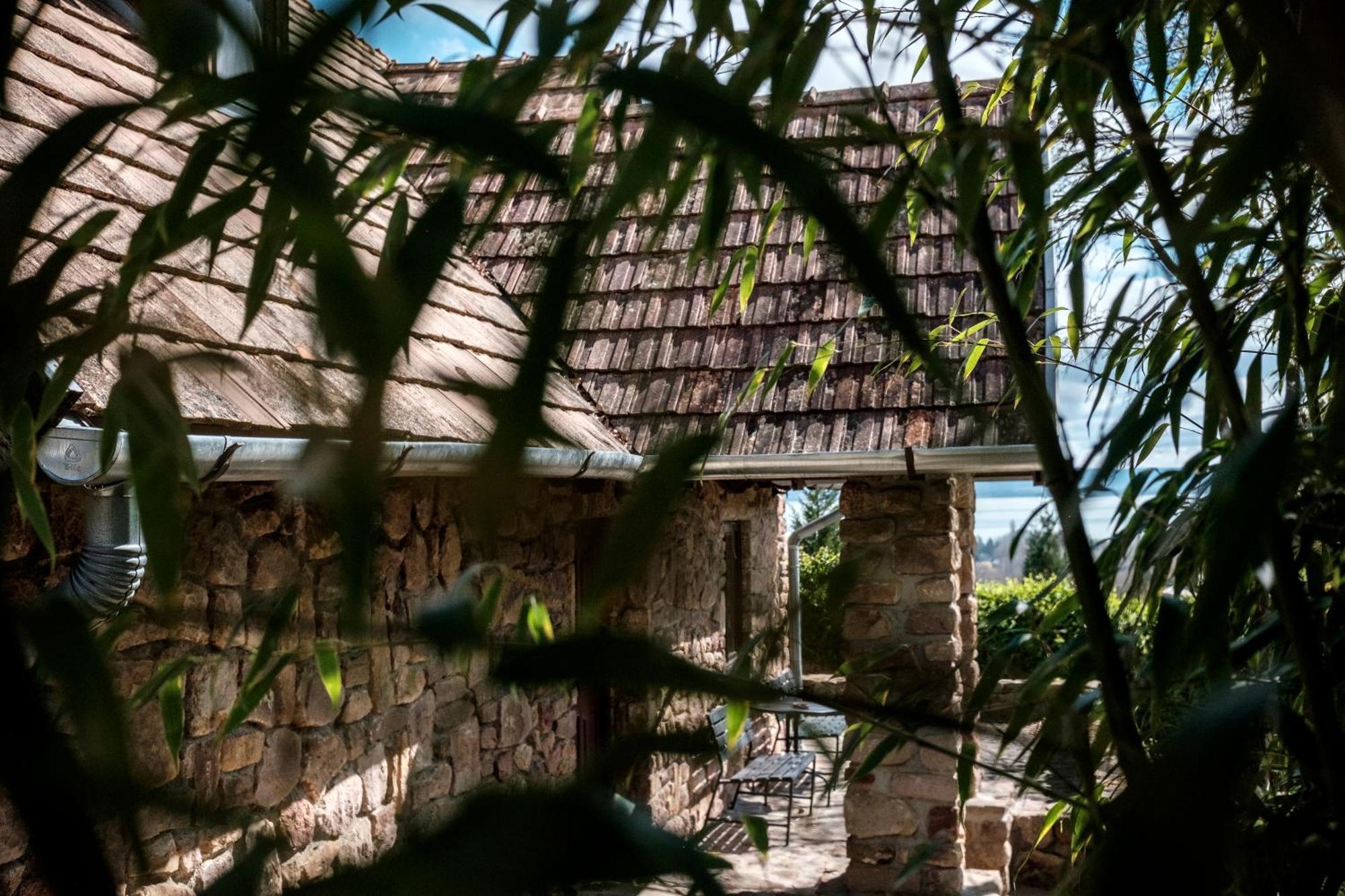 Villa Abrahamhegyi Panorama Hideout Extérieur photo
